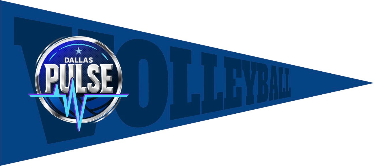Dallas Pulse Logo Pennant